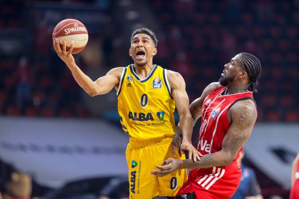 森林狼单节 森林狼单节